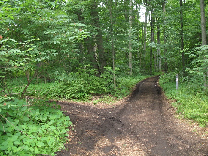 Beaver Lake Nature Center, Baldwinsville, N.Y.