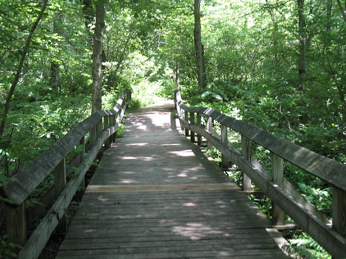 Beaver Lake Nature Center 