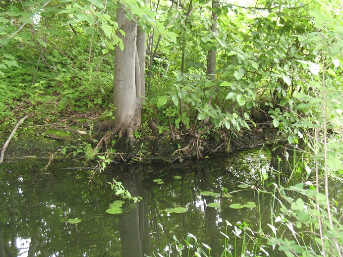 Beaver Lake Nature Center