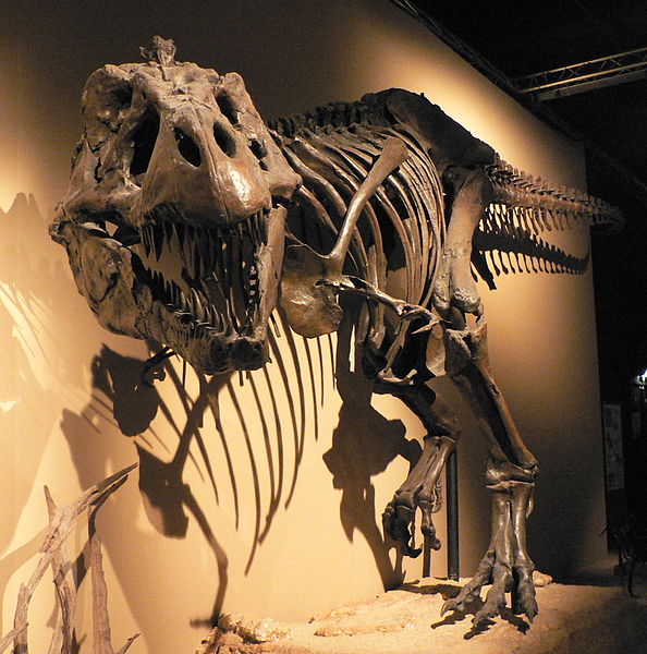 The T-rex in museums are scary enough.