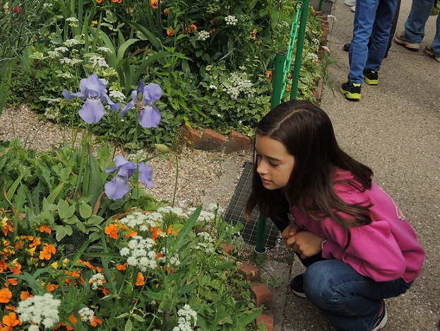 enjoying the colorful bouquet
