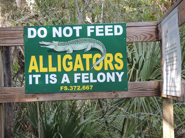 Turkey Creek Sanctuary