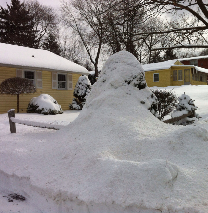 Snow - Mark Bialczak