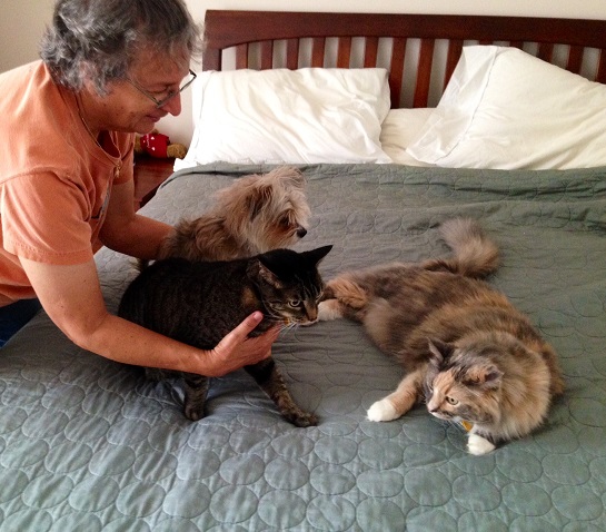 Riley, Reggie and Jean-Louis - 7-13-14 - Copy