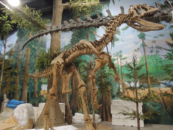 Dinosaur store and museum - Cocoa Beach - Nov. 15. 2014 018