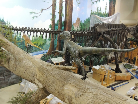 Dinosaur store and museum - Cocoa Beach - Nov. 15. 2014 031